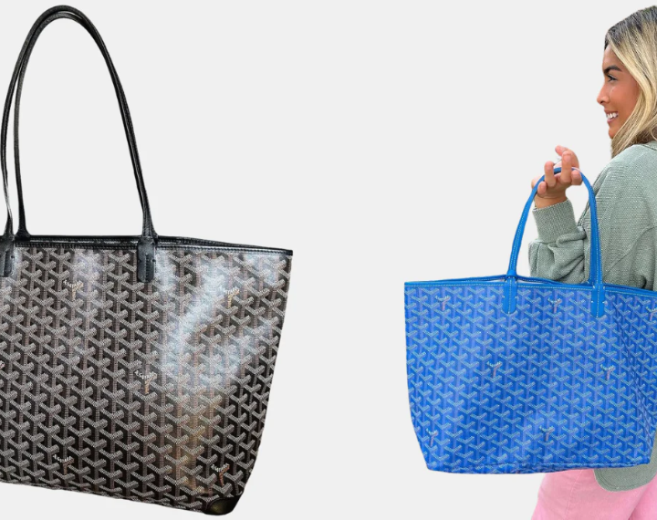 Guide to Goyard bag Prices and Sizes (2024)