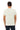 Bella Canvas 3001 Adult Round Neck - Citron
