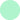 Prolite Vinyl - Mint