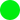PUFF HTV Vinyl - Neon Green